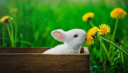 华体会团队-记者：巴西外援戴维森将在新赛季担任青岛西海岸第一队长